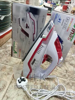 3000W Avinas Steam Iron