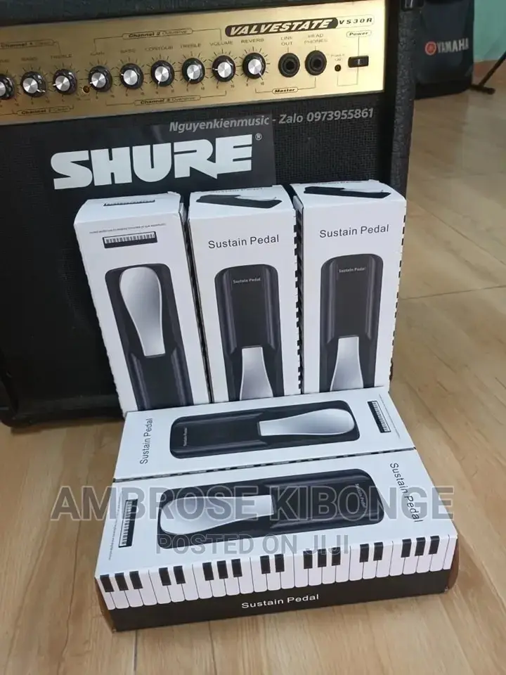 Portable Sustain Universal Foot Piano Keyboard Sustain Pedal