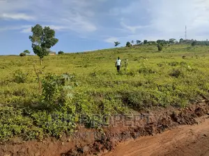 50 by 100ft Plot for Sale, Kakiri Gobero Town