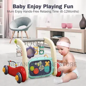 2in1 Baby Piano Gym and Walker
