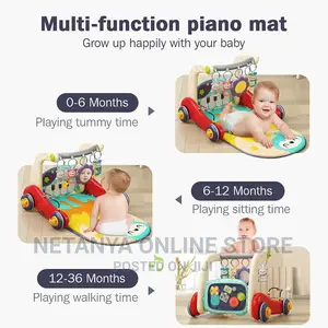 2in1 Baby Piano Gym and Walker