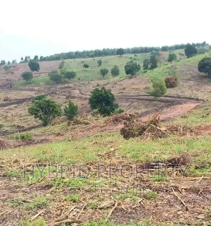 Prime Plots for at Namayumba~Naguru Land Estate~Hoima Rd IV.