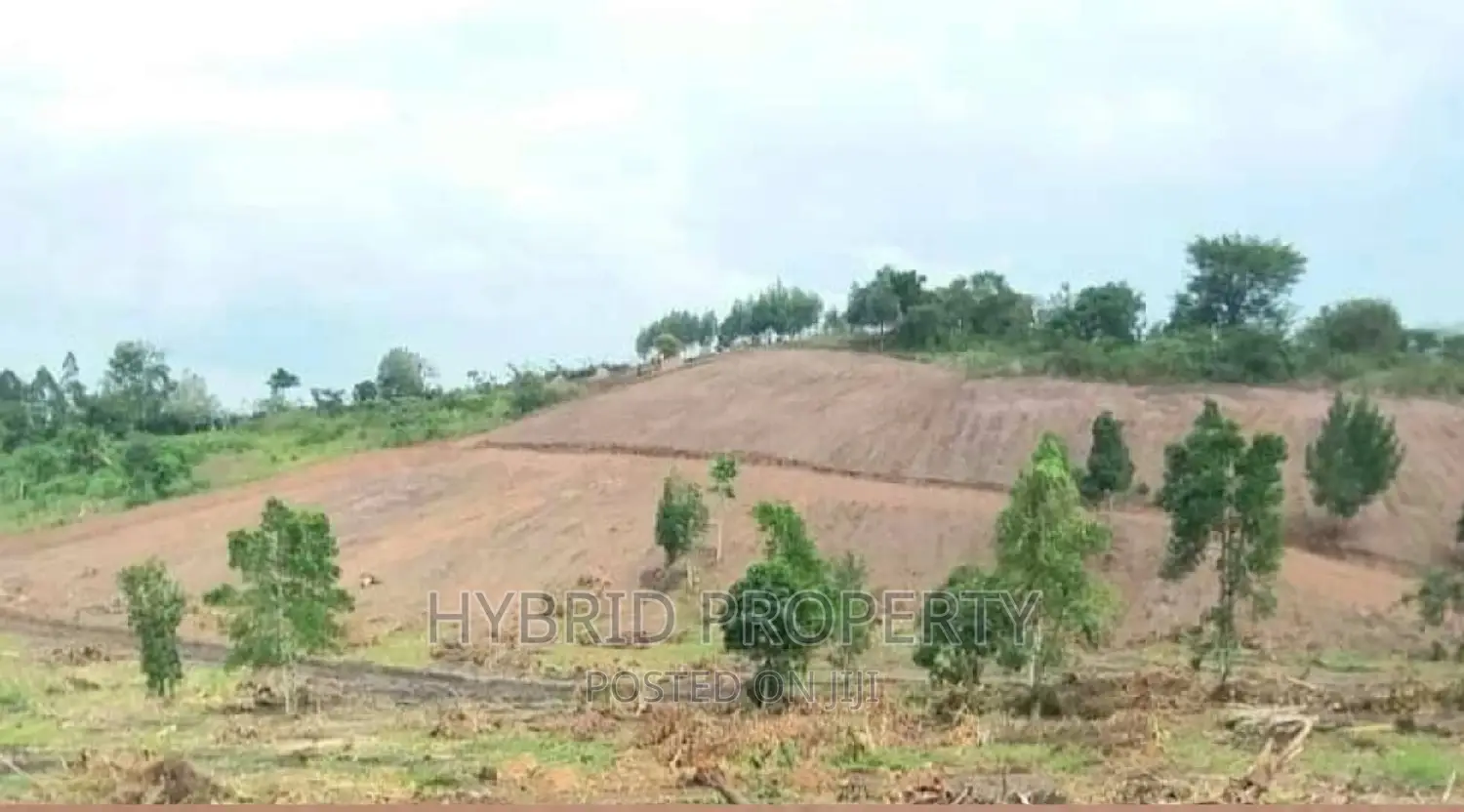 Prime Plots for at Namayumba~Naguru Land Estate~Hoima Rd IV.