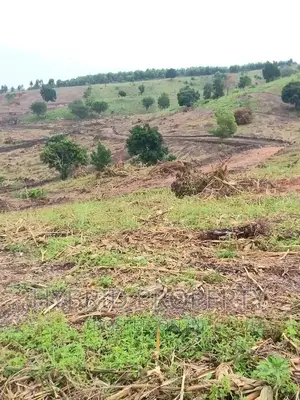 Prime Plots for at Namayumba~Naguru Land Estate~Hoima Rd IV.