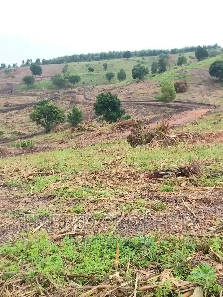 Prime Plots for at Namayumba~Naguru Land Estate~Hoima Rd IV.