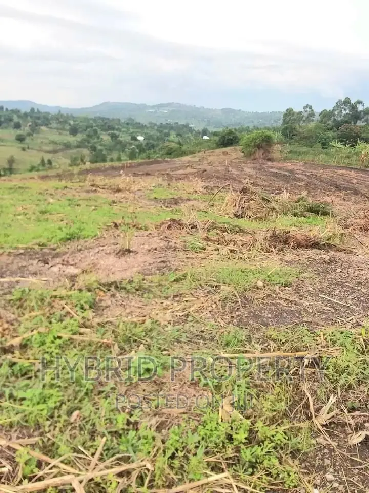 Prime Plots for at Namayumba~Naguru Land Estate~Hoima Rd IV.