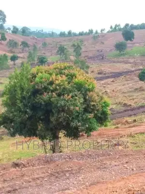 Prime Plots for at Namayumba~Naguru Land Estate~Hoima Rd IV.