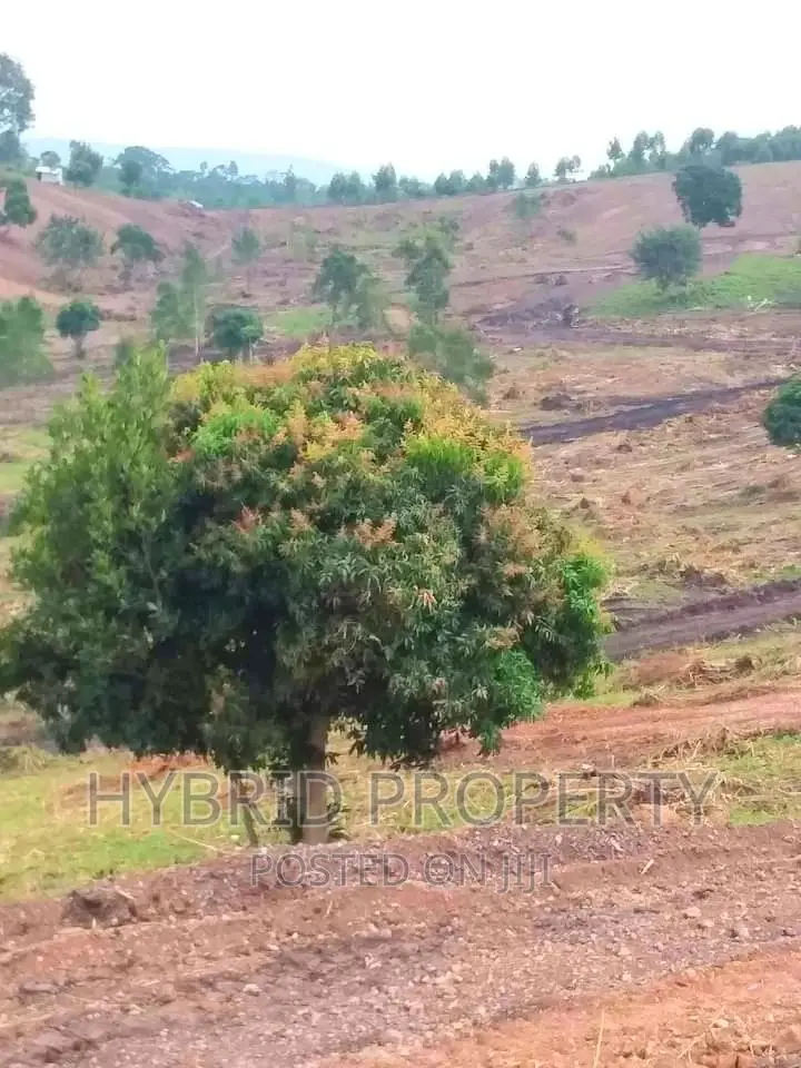 Prime Plots for at Namayumba~Naguru Land Estate~Hoima Rd IV.