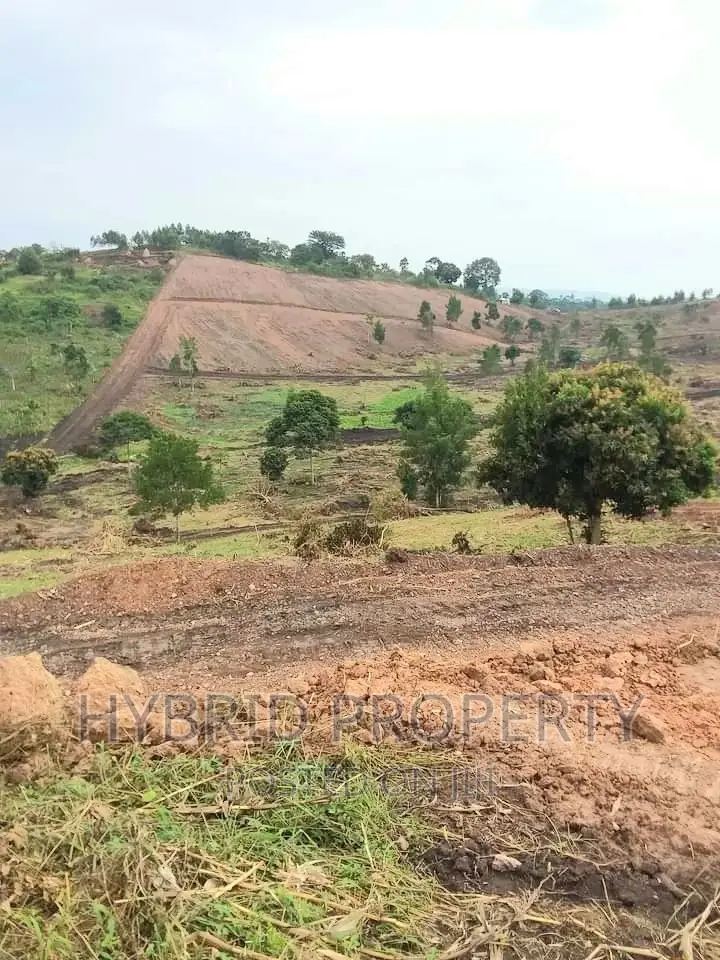 Prime Plots for at Namayumba~Naguru Land Estate~Hoima Rd IV.