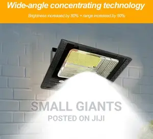 300 Watts Solar Flood Light