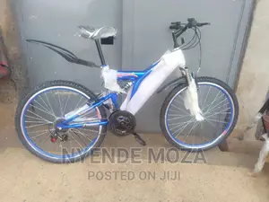 Rainbow Shock Bicycle