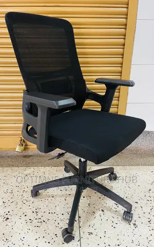 Office Chair (Lumbar)