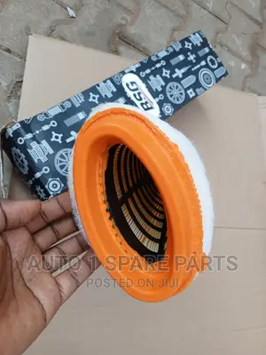 Air Cleaner BMW