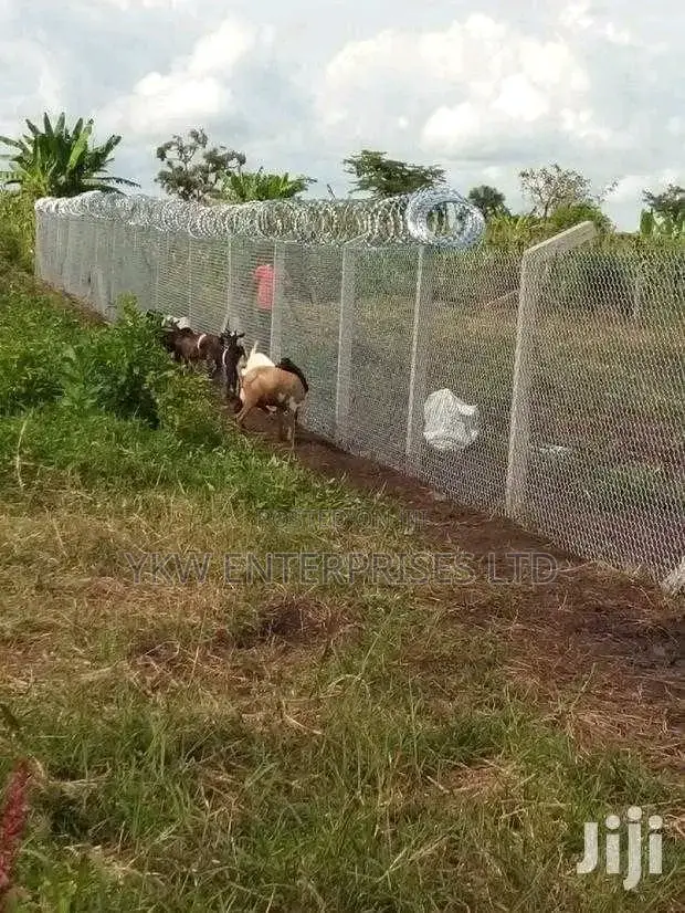 Chain Link Fence Construction