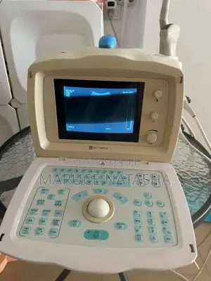 Refurbished Dp 1100 US Machine
