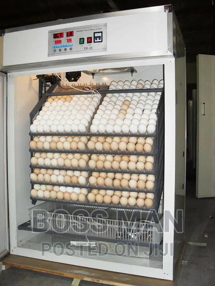 528 Eggs Incubator (Imported)