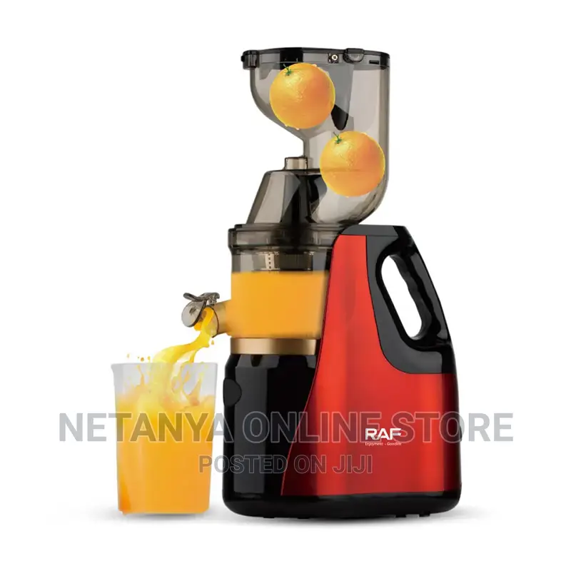 Raf Professional Slow Juicer
