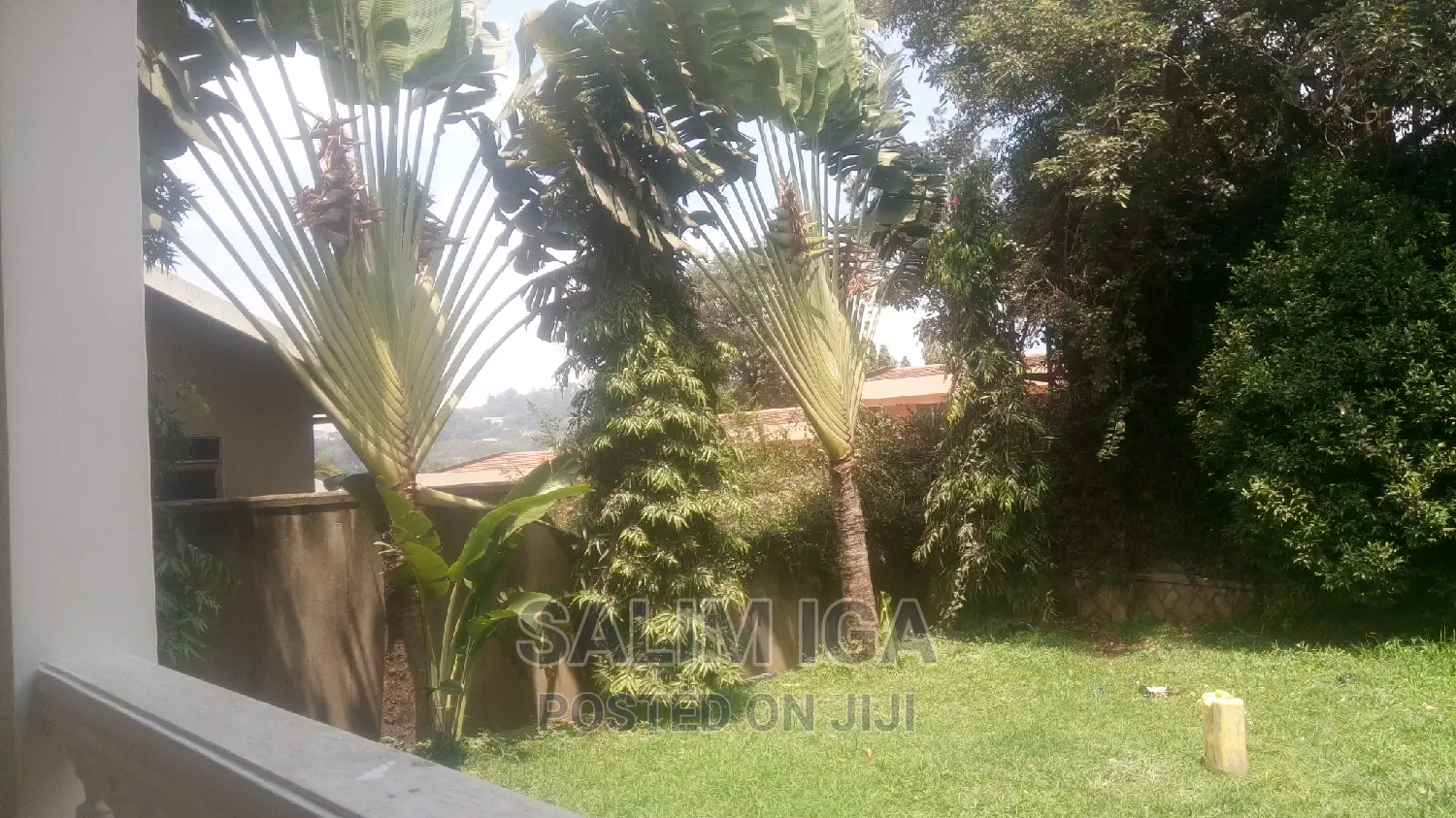 6bdrm Duplex in Kololo Property, Central Division for rent