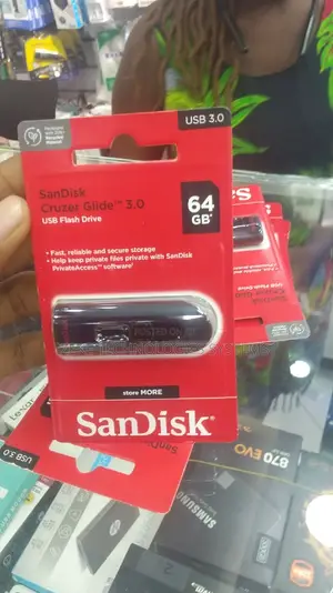 64 GB Flash Disk