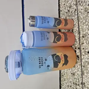 3 in 1 Water Bottles