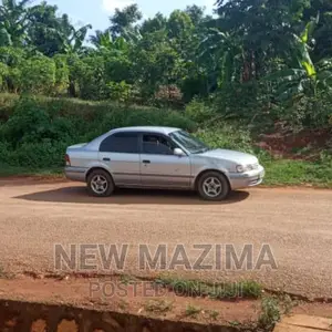 Two Acres Measuring Direct From Tarmac in Ntebe Town on Sale