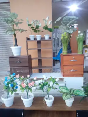 Exciting Tv Stand in Different Colors. It's 4 by 6fts