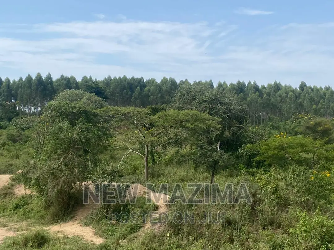 Very Strategic 1 Square Mile in Nakasongola Lugolodde