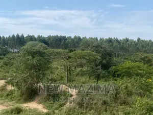 Very Strategic 1 Square Mile in Nakasongola Lugolodde