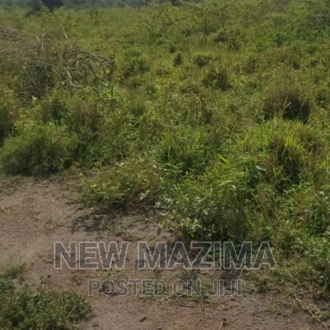 Very Strategic 1 Square Mile in Nakasongola Lugolodde