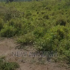 Very Strategic 1 Square Mile in Nakasongola Lugolodde