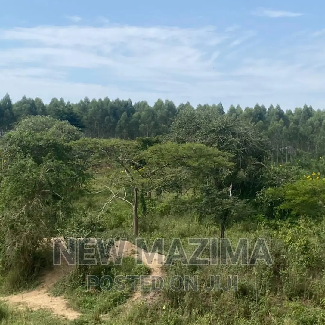 Very Strategic 1 Square Mile in Nakasongola Lugolodde