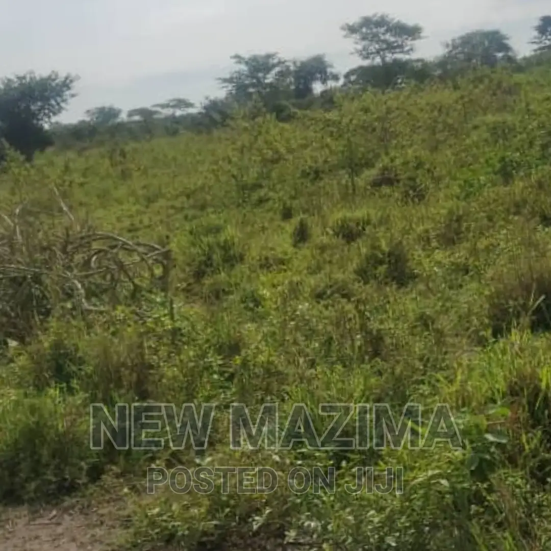 Very Strategic 1 Square Mile in Nakasongola Lugolodde