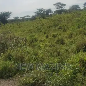 Very Strategic 1 Square Mile in Nakasongola Lugolodde