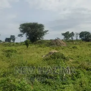 Very Strategic 1 Square Mile in Nakasongola Lugolodde