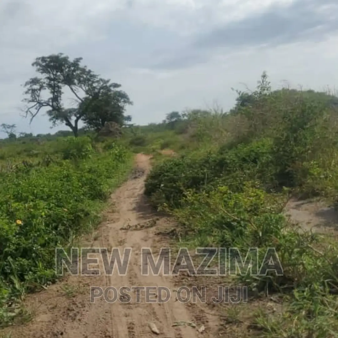 Very Strategic 1 Square Mile in Nakasongola Lugolodde