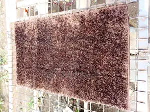 Shaggy Door Mats