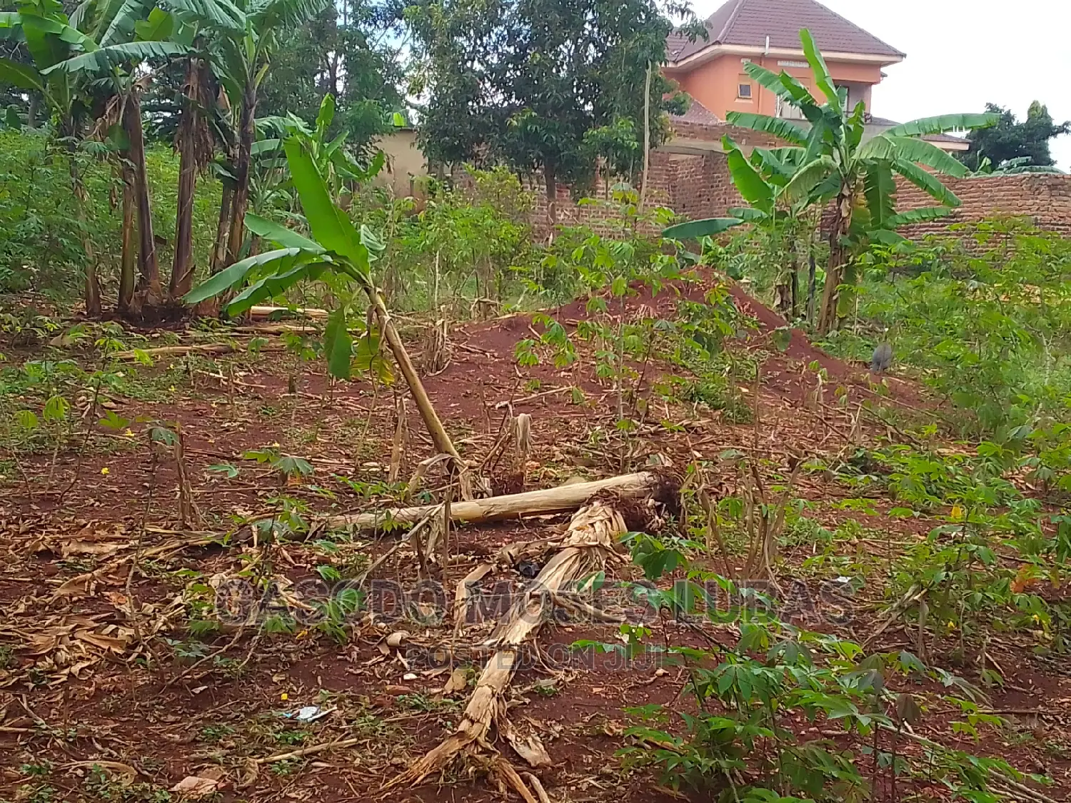Land for Sale in Mafubira Jinja City