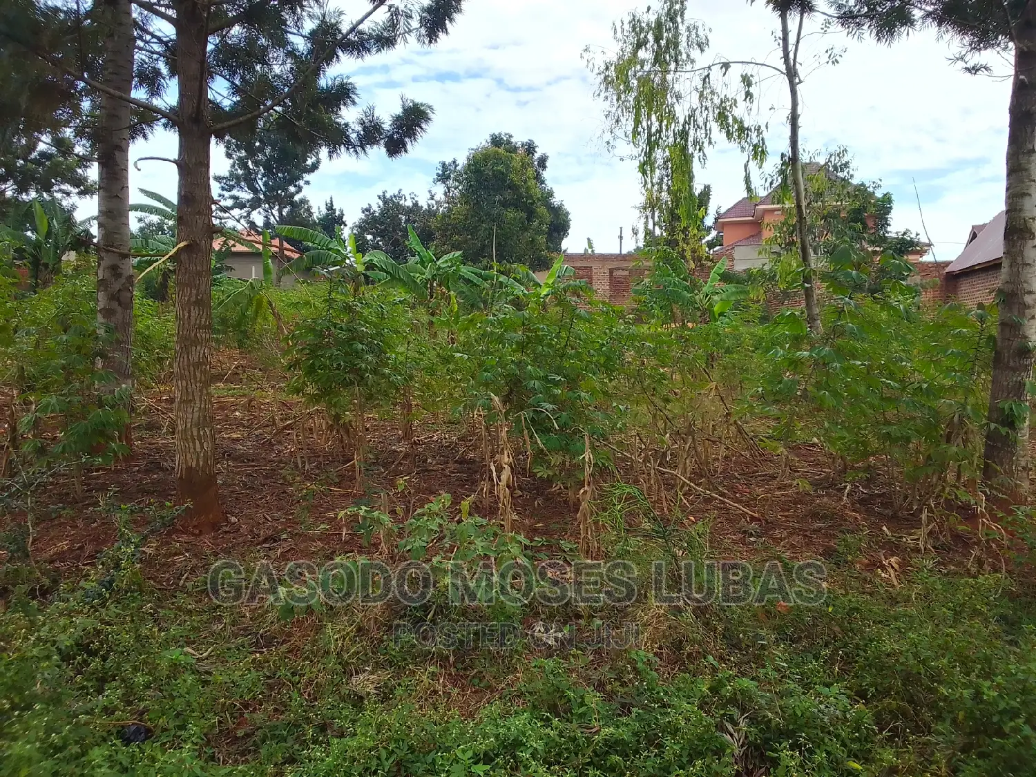 Land for Sale in Mafubira Jinja City