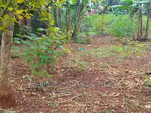 Land for Sale in Mafubira Jinja City