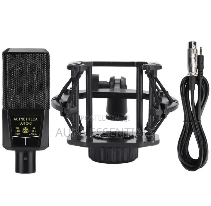 LGT 240 Professional Large Diaphragms Condenser Microphone