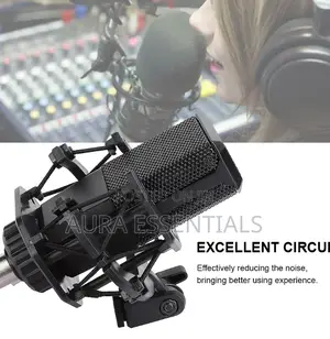 LGT 240 Professional Large Diaphragms Condenser Microphone