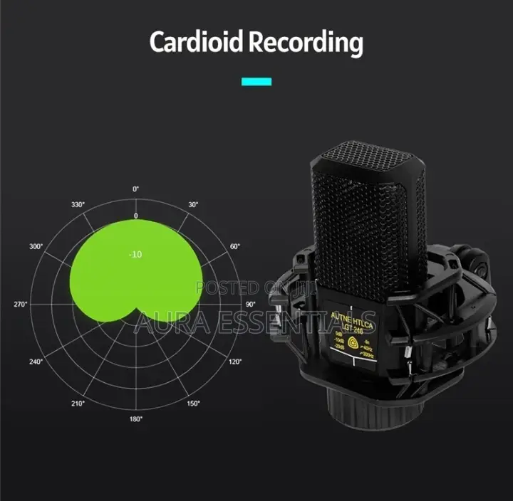 LGT 240 Professional Large Diaphragms Condenser Microphone