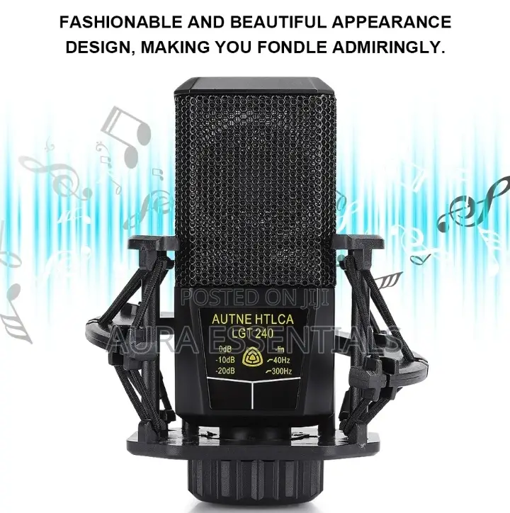 LGT 240 Professional Large Diaphragms Condenser Microphone