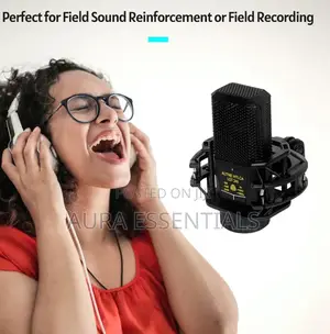 LGT 240 Professional Large Diaphragms Condenser Microphone