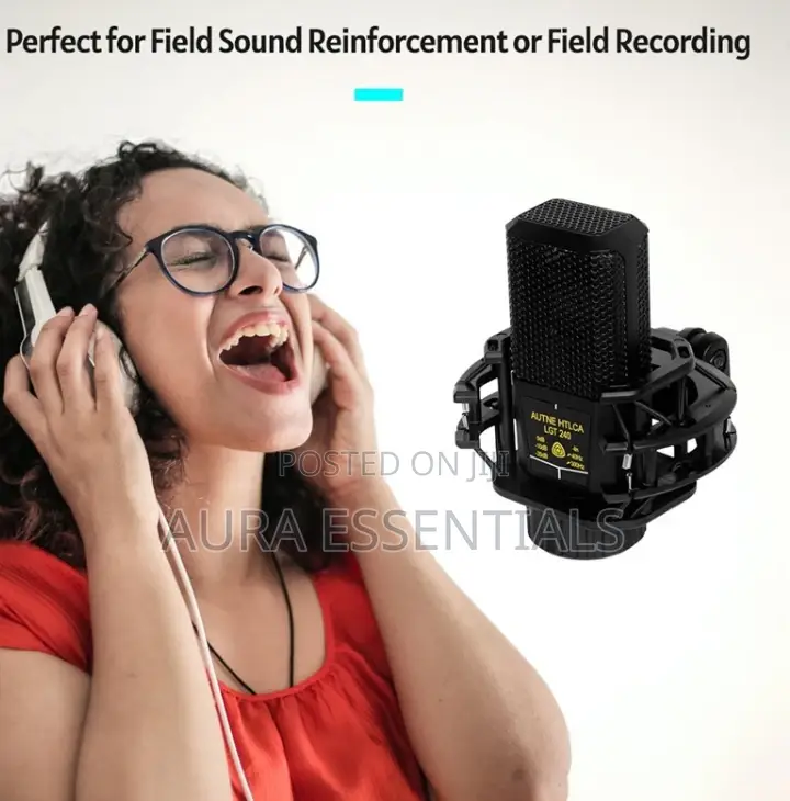 LGT 240 Professional Large Diaphragms Condenser Microphone