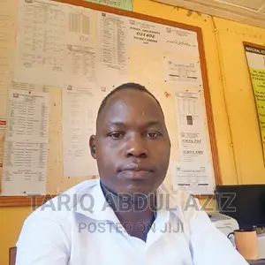 Fresher Accountants to Work in Nateete