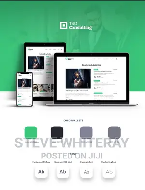 3 Website Design Development