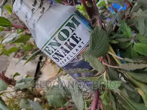 Photo - Venon Snake Repellent