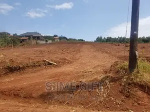 50*100 Plots in Kitende-Kitovu Estate 5km From Entebbe Rd