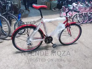 Nati Standard Bicycle